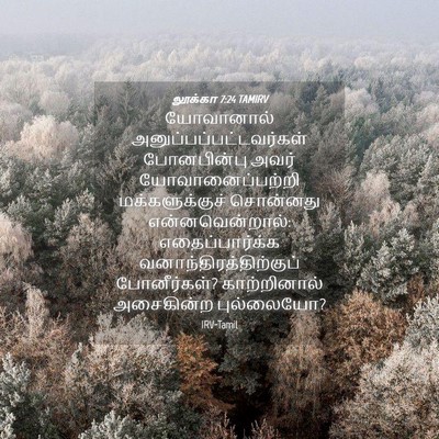 Picture 04 - லூக்கா 7:24 TAMIRV - யோவானால் - Bible Verse Picture