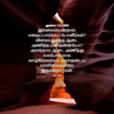 Picture 04 - லூக்கா 7:25 TAMIRV - இல்லையென்றால், - Bible Verse Picture