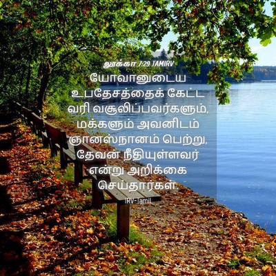 Picture 04 - லூக்கா 7:29 TAMIRV - யோவானுடைய - Bible Verse Picture