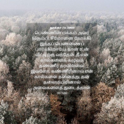 Picture 04 - லூக்கா 7:44 TAMIRV - பெண்ணின் பக்கம் - Bible Verse Picture