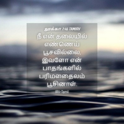 Picture 04 - லூக்கா 7:46 TAMIRV - நீ என் தலையில் - Bible Verse Picture