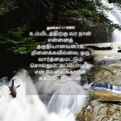 Picture 04 - லூக்கா 7:7 TAMIRV - உம்மிடத்திற்கு வர - Bible Verse Picture