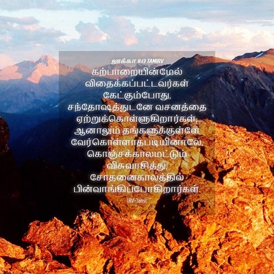Picture 04 - லூக்கா 8:13 TAMIRV - கற்பாறையின்மேல் - Bible Verse Picture