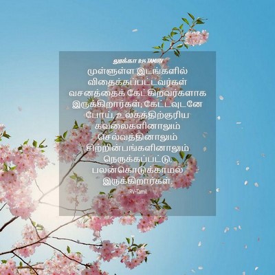 Picture 04 - லூக்கா 8:14 TAMIRV - முள்ளுள்ள - Bible Verse Picture