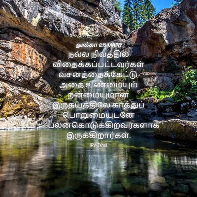Picture 04 - லூக்கா 8:15 TAMIRV - நல்ல நிலத்தில் - Bible Verse Picture