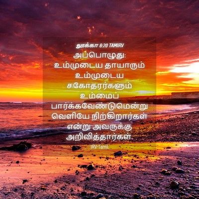 Picture 04 - லூக்கா 8:20 TAMIRV - அப்பொழுது: - Bible Verse Picture