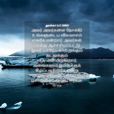 Picture 04 - லூக்கா 8:25 TAMIRV - அவர் அவர்களை - Bible Verse Picture