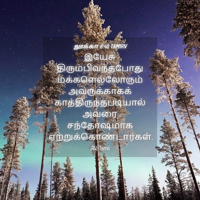 Picture 04 - லூக்கா 8:40 TAMIRV - இயேசு - Bible Verse Picture