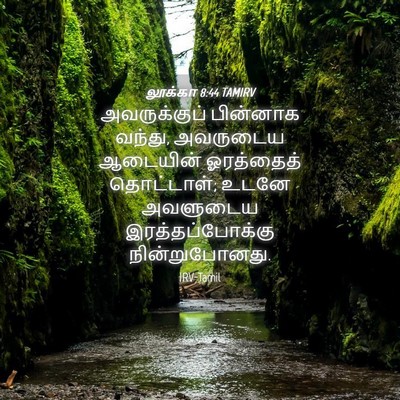 Picture 04 - லூக்கா 8:44 TAMIRV - அவருக்குப் - Bible Verse Picture