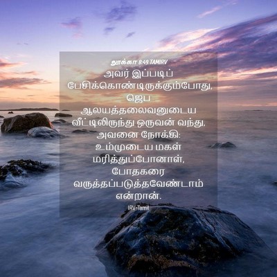 Picture 04 - லூக்கா 8:49 TAMIRV - அவர் இப்படிப் - Bible Verse Picture
