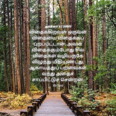 Picture 04 - லூக்கா 8:5 TAMIRV - விதைக்கிறவன் - Bible Verse Picture
