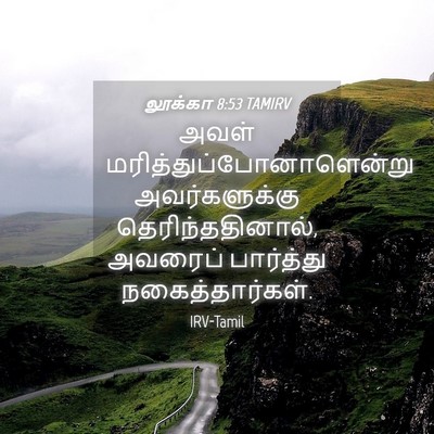 Picture 04 - லூக்கா 8:53 TAMIRV - அவள் - Bible Verse Picture