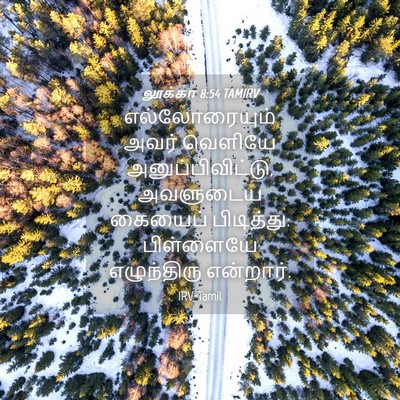 Picture 04 - லூக்கா 8:54 TAMIRV - எல்லோரையும் அவர் - Bible Verse Picture