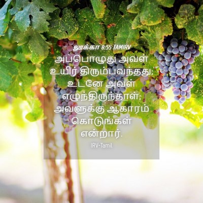 Picture 04 - லூக்கா 8:55 TAMIRV - அப்பொழுது அவள் - Bible Verse Picture