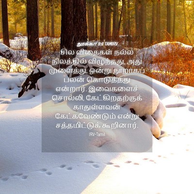 Picture 04 - லூக்கா 8:8 TAMIRV - சில விதைகள் நல்ல - Bible Verse Picture