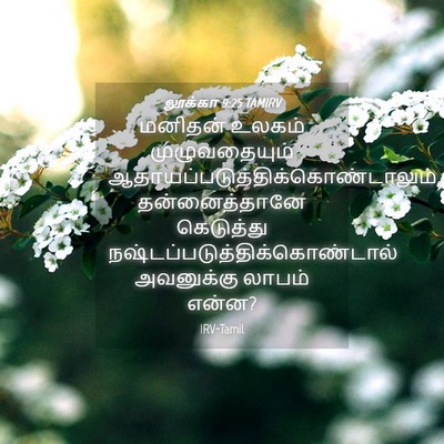 Picture 04 - லூக்கா 9:25 TAMIRV - மனிதன் உலகம் - Bible Verse Picture