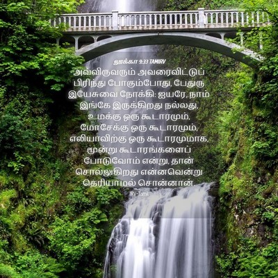 Picture 04 - லூக்கா 9:33 TAMIRV - அவ்விருவரும் - Bible Verse Picture