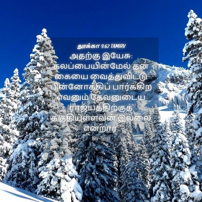Picture 04 - லூக்கா 9:62 TAMIRV - அதற்கு இயேசு: - Bible Verse Picture
