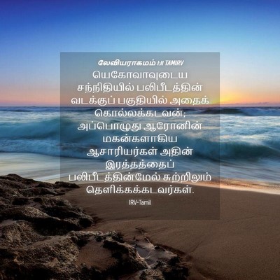 Picture 04 - லேவியராகமம் 1:11 TAMIRV - யெகோவாவுடைய - Bible Verse Picture