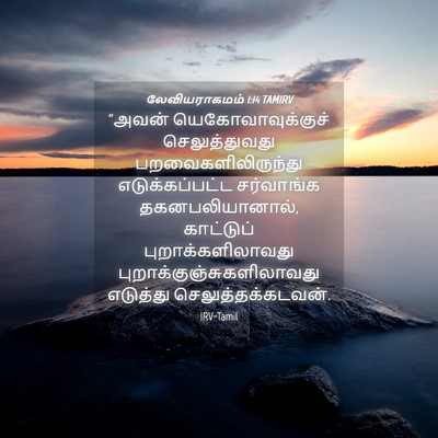 Picture 04 - லேவியராகமம் 1:14 TAMIRV - “அவன் - Bible Verse Picture