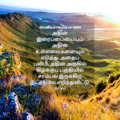 Picture 04 - லேவியராகமம் 1:16 TAMIRV - அதின் - Bible Verse Picture
