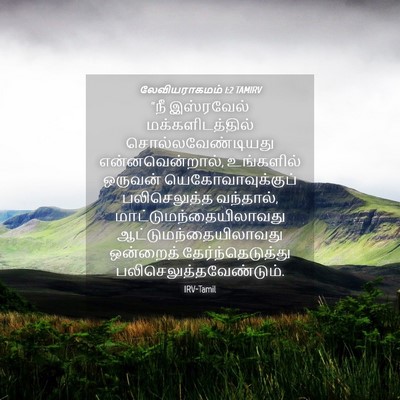 Picture 04 - லேவியராகமம் 1:2 TAMIRV - “நீ இஸ்ரவேல் - Bible Verse Picture