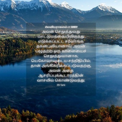 Picture 04 - லேவியராகமம் 1:3 TAMIRV - அவன் செலுத்துவது - Bible Verse Picture