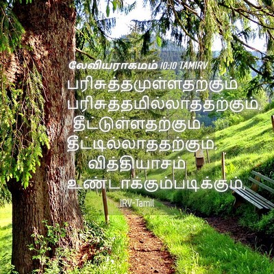 Picture 04 - லேவியராகமம் 10:10 TAMIRV -  - Bible Verse Picture