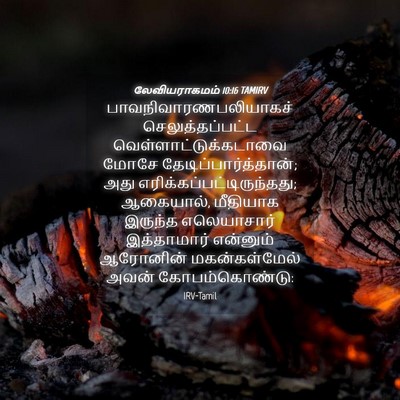 Picture 04 - லேவியராகமம் 10:16 TAMIRV -  - Bible Verse Picture