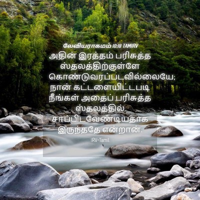 Picture 04 - லேவியராகமம் 10:18 TAMIRV - அதின் இரத்தம் - Bible Verse Picture