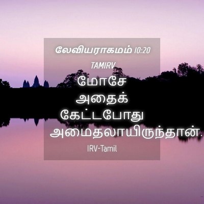 Picture 04 - லேவியராகமம் 10:20 TAMIRV - மோசே அதைக் - Bible Verse Picture