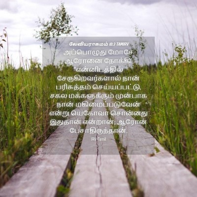 Picture 04 - லேவியராகமம் 10:3 TAMIRV - அப்பொழுது மோசே - Bible Verse Picture