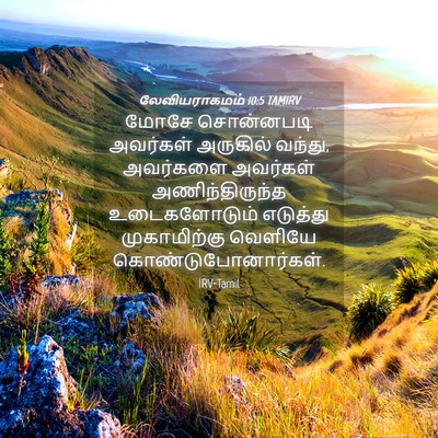 Picture 04 - லேவியராகமம் 10:5 TAMIRV - மோசே சொன்னபடி - Bible Verse Picture