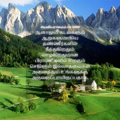 Picture 04 - லேவியராகமம் 11:10 TAMIRV - ஆனாலும், - Bible Verse Picture