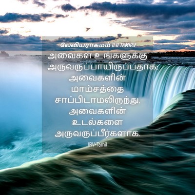 Picture 04 - லேவியராகமம் 11:11 TAMIRV - அவைகள் உங்களுக்கு - Bible Verse Picture