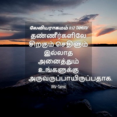 Picture 04 - லேவியராகமம் 11:12 TAMIRV - தண்ணீர்களிலே - Bible Verse Picture