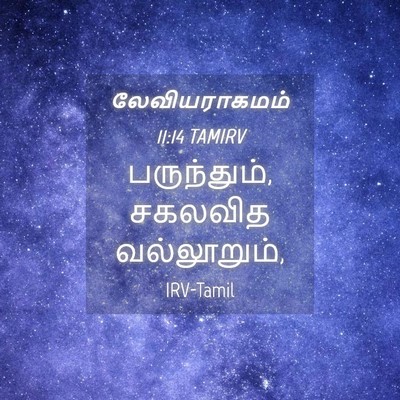 Picture 04 - லேவியராகமம் 11:14 TAMIRV - பருந்தும், சகலவித - Bible Verse Picture