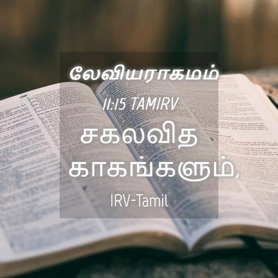 Picture 04 - லேவியராகமம் 11:15 TAMIRV - சகலவித - Bible Verse Picture