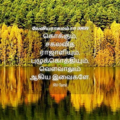 Picture 04 - லேவியராகமம் 11:19 TAMIRV - கொக்கும், சகலவித - Bible Verse Picture