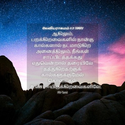 Picture 04 - லேவியராகமம் 11:21 TAMIRV - ஆகிலும், - Bible Verse Picture