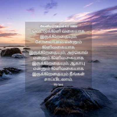 Picture 04 - லேவியராகமம் 11:22 TAMIRV - வெட்டுக்கிளி - Bible Verse Picture
