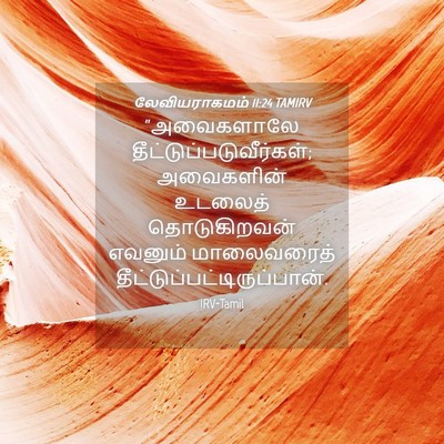 Picture 04 - லேவியராகமம் 11:24 TAMIRV - “அவைகளாலே - Bible Verse Picture