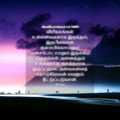Picture 04 - லேவியராகமம் 11:26 TAMIRV - விரிநகங்கள் - Bible Verse Picture