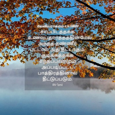 Picture 04 - லேவியராகமம் 11:34 TAMIRV - சாப்பிடத்தக்க - Bible Verse Picture