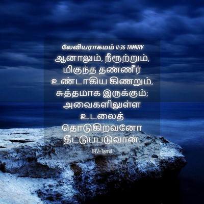 Picture 04 - லேவியராகமம் 11:36 TAMIRV - ஆனாலும், - Bible Verse Picture