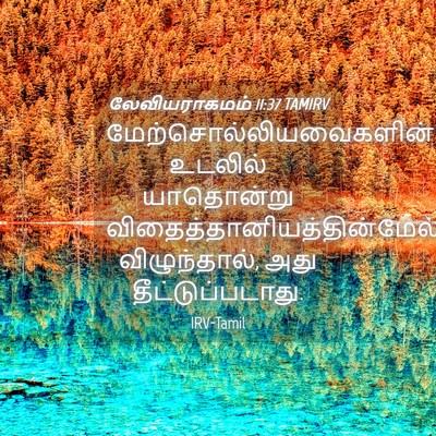 Picture 04 - லேவியராகமம் 11:37 TAMIRV -  - Bible Verse Picture
