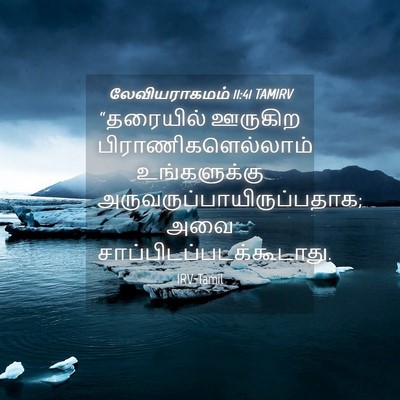 Picture 04 - லேவியராகமம் 11:41 TAMIRV - “தரையில் ஊருகிற - Bible Verse Picture