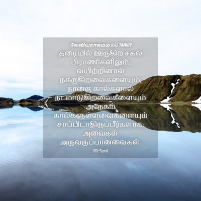 Picture 04 - லேவியராகமம் 11:42 TAMIRV - தரையில் ஊருகிற - Bible Verse Picture