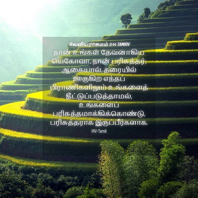 Picture 04 - லேவியராகமம் 11:44 TAMIRV - நான் உங்கள் - Bible Verse Picture