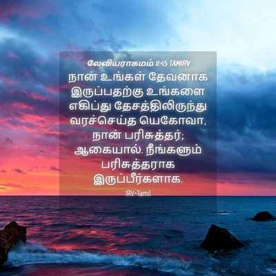 Picture 04 - லேவியராகமம் 11:45 TAMIRV - நான் உங்கள் - Bible Verse Picture